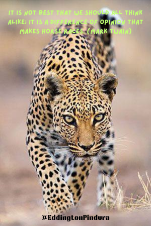 💡 Top 6 Ways to Make Money Online and Build a Successful Home Business